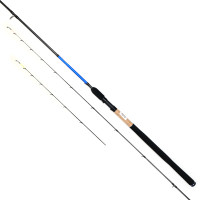 Вудлище пікерне Daiwa N`Zon Feeder 3.00m 40gr 2 квивертипа (11130-300)