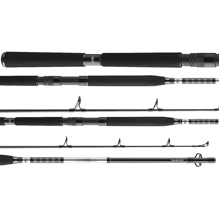 Спиннинг Daiwa BG Popper 2.30m 40-150g (11928-230)