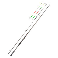 Спінінг Daiwa Seahunter X Variotip 2.70m 30-110g (11531-275)
