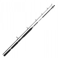 Спиннинг Daiwa BG Popper 2.30m 40-150g (11928-230)