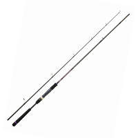 Спиннинг Daiwa Crosscast Seabass 1002HXHFS 3.05m 14-56g (11799-301)