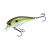 Воблер Lucky Craft Fat CB BDS1 49F 49mm 8.0g #Gizzard Shad (FATCBBDS1-318GZSD), 486.00 грн.