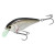 Воблер Lucky Craft KJ Flat 1.5 64F 64mm 10.0g #BP Golden Shiner (LC-KJFL1-5-419BPGSN), 582.00 грн.