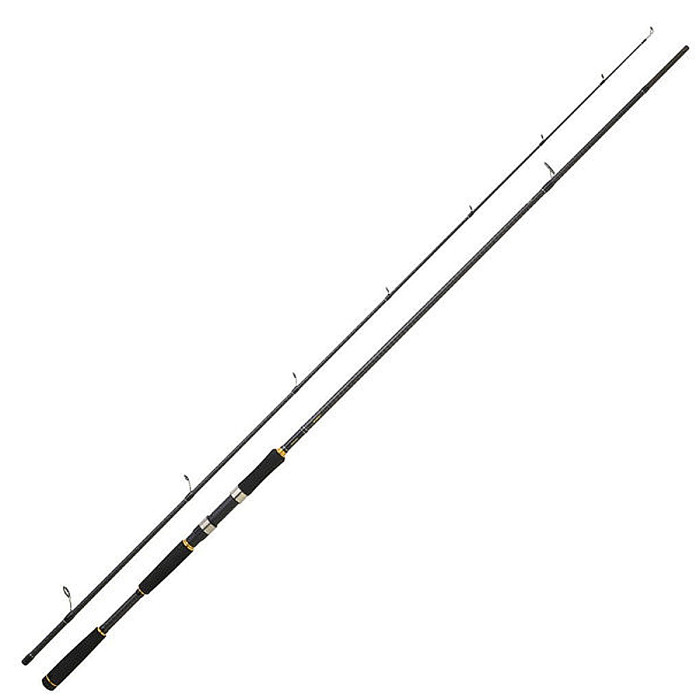 Спінінг Daiwa Legalis Seabass 2.9m 12-42g (11715-296)