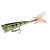 Воблер Rapala X-Light Pop 40mm 4.5g #Live Perch (FNP04 PEL), 500.00 грн.