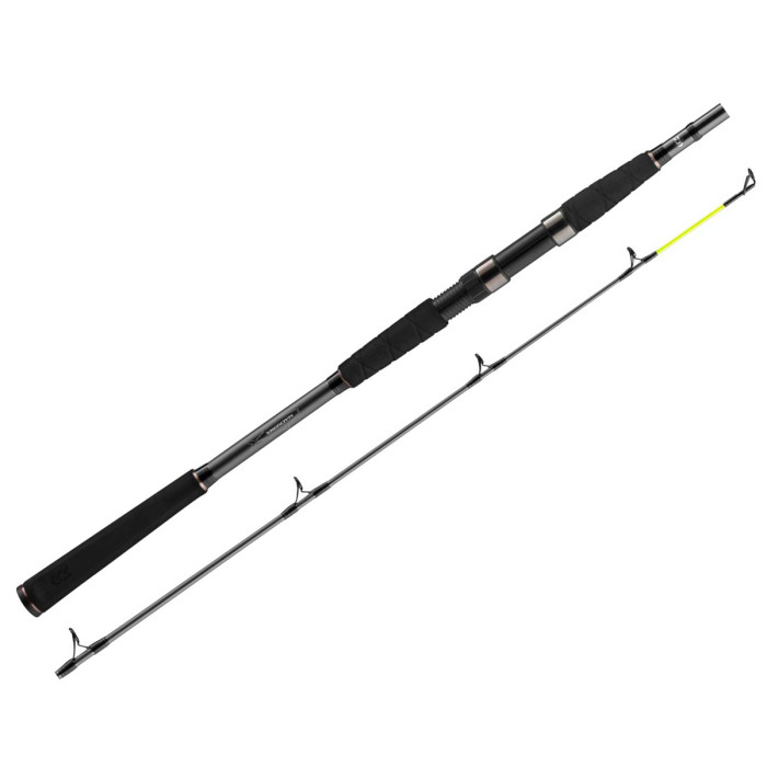 Спінінг Daiwa Seahunter X 2.40m 100-200g (11533-246)