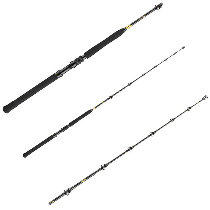 Спінінг Daiwa BG Big Game 1.68m 300-800g (11929-166)