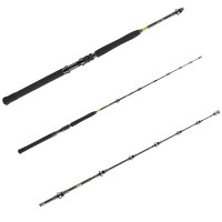 Спінінг Daiwa BG Big Game 1.68m 300-800g (11929-166)