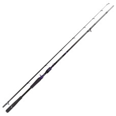 Спінінг кастинг. Daiwa Prorex AGS Bait Big Rubber 8`4