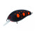 Воблер Trident VA Reach SR 36F 36mm 4.4g #VA033 (TVA-W-RC-SR-36F-VA033), 305.00 грн.