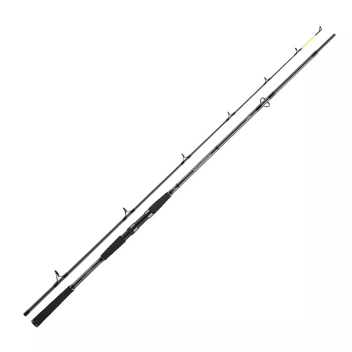 Спиннинг Daiwa Seahunter X 2.70m 40-120g (11533-275)