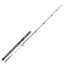 Спиннинг WFT Catbuster Belly Boat 150-600g 1,60m (1D-B 476-160)