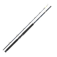 Спиннинг Daiwa Tanacom Ultra Deep 2.10m 400-1000g (11806-216)