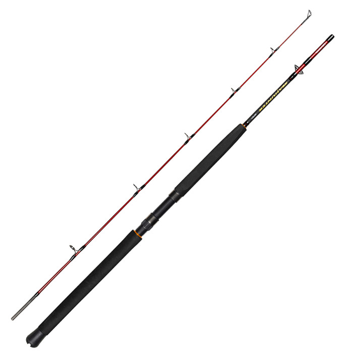 Спінінг Daiwa Seahunter Spin 2.13m 150-300g (B0000121500)