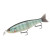 Воблер Storm Arashi Glide Bait S 190mm 88g 0.5-1m #680 (AGB19 680), 1905.00 грн.