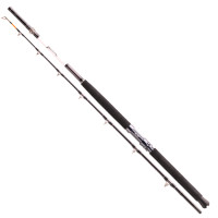 Спінінг морський Daiwa Tanacom 2.1m 400-1000gr (11806-215)