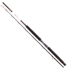 Спінінг морський Daiwa Tanacom 2.1m 400-1000gr (11806-215)