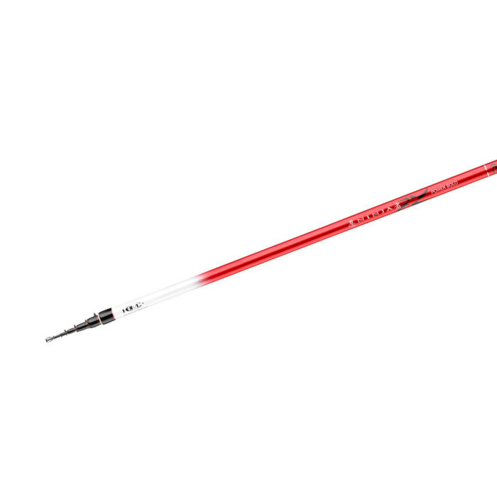 Болонське вудлище Daiwa Ninja X Bolo 4м 25г